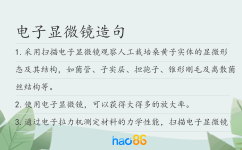 电子显微镜造句