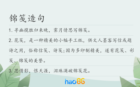 锦笺造句