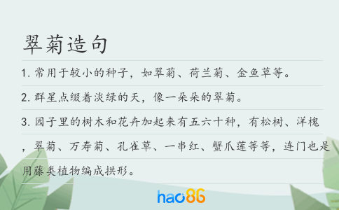 翠菊造句