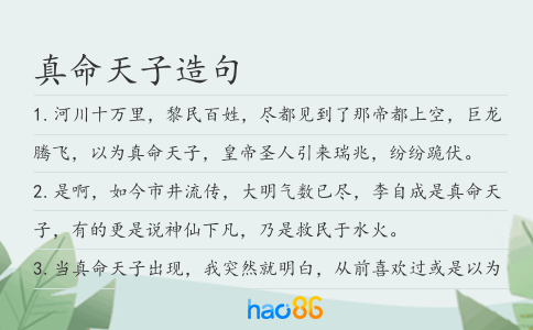真命天子造句
