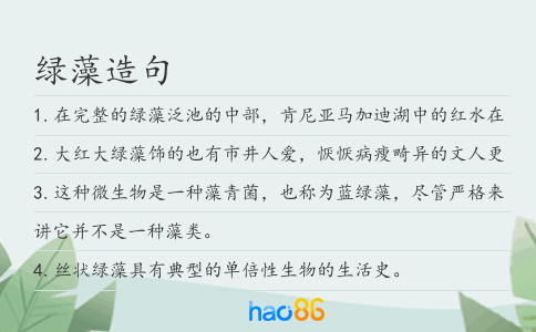 绿藻造句