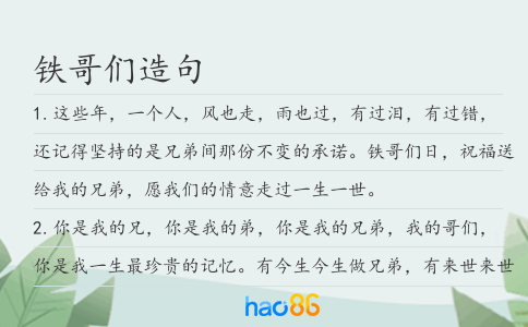 铁哥们造句