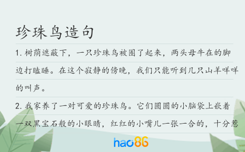 珍珠鸟造句
