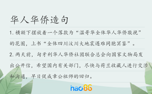 华人华侨造句
