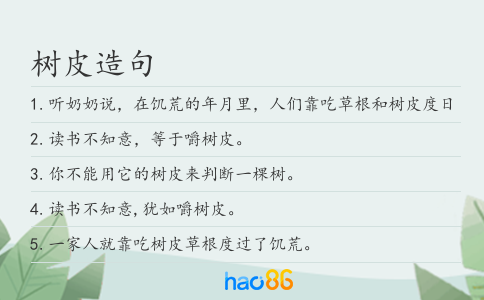树皮造句