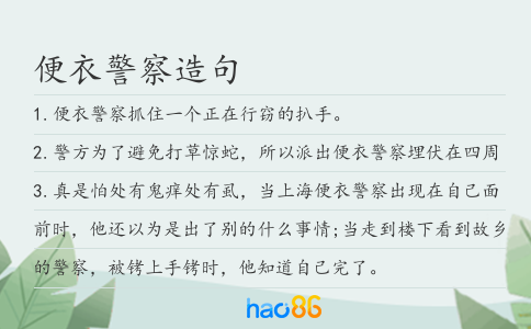 便衣警察造句
