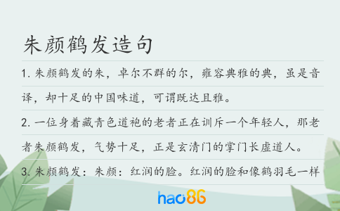 朱颜鹤发造句