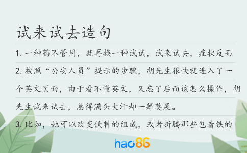 试来试去造句