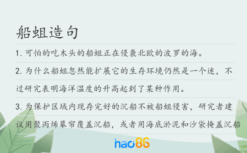 船蛆造句