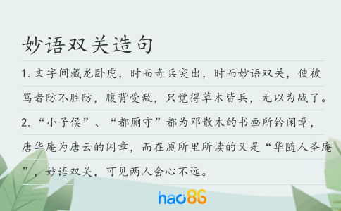 妙语双关造句