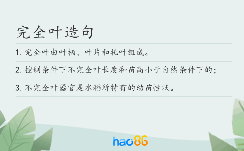 完全叶造句