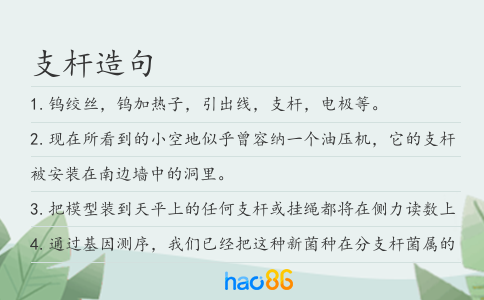 支杆造句