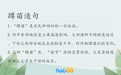 蹲苗造句