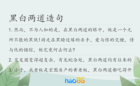 黑白两道造句
