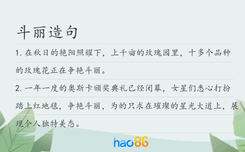 斗丽造句