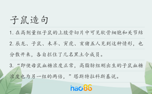 子鼠造句