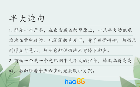 半大造句