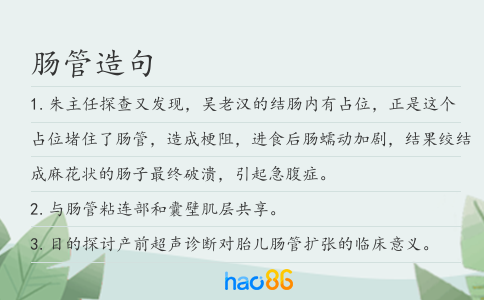 肠管造句