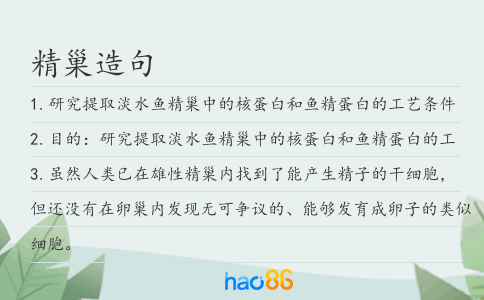 精巢造句
