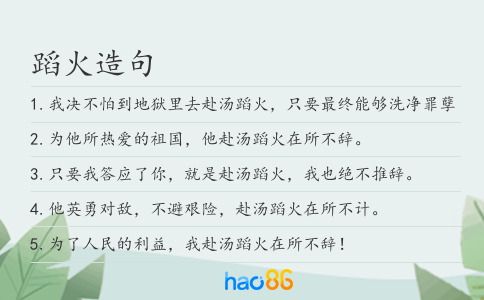 蹈火造句