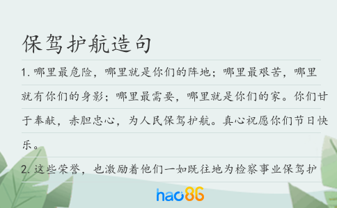 保驾护航造句
