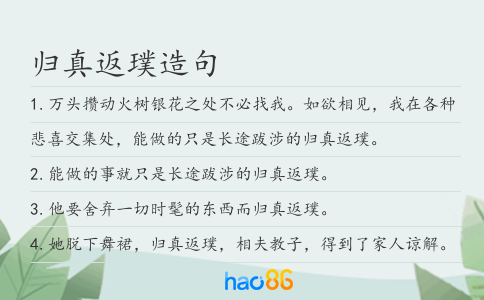 归真返璞造句