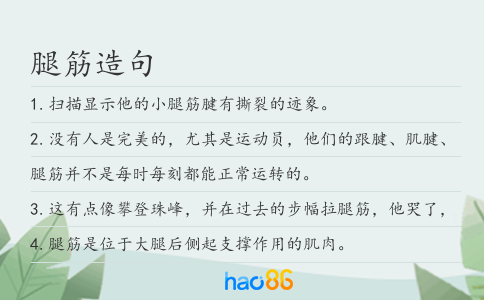 腿筋造句