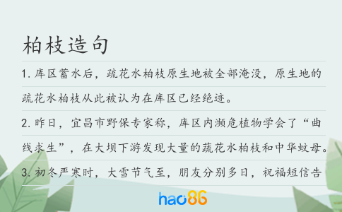 柏枝造句