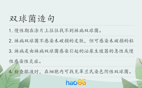 双球菌造句