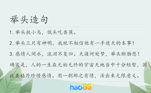 举头造句