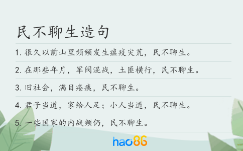 民不聊生造句