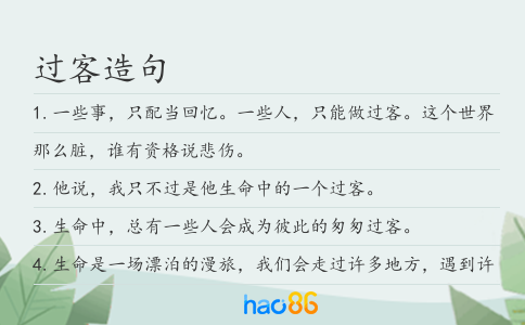 过客造句