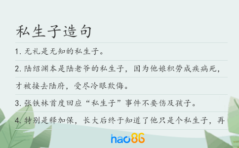 私生子造句
