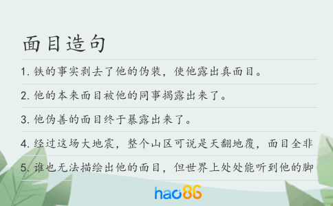 面目造句