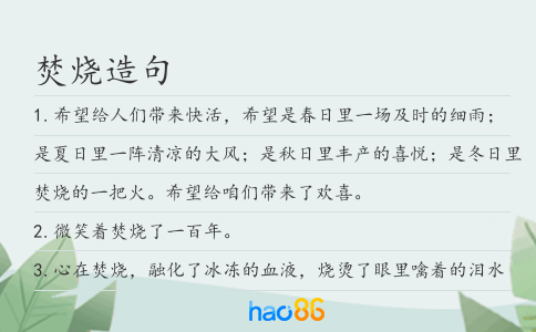 焚烧造句