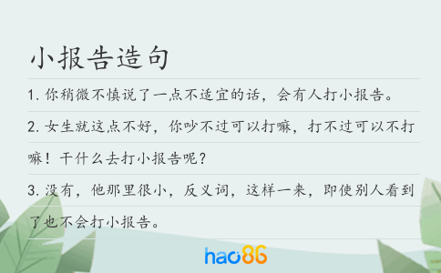 小报告造句