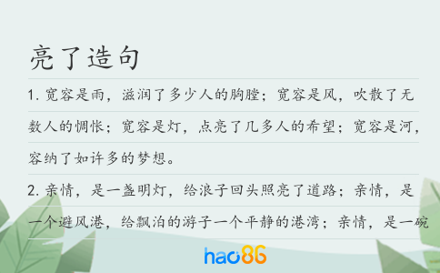 亮了造句