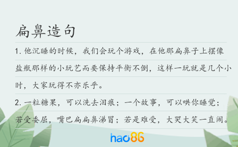 扁鼻造句