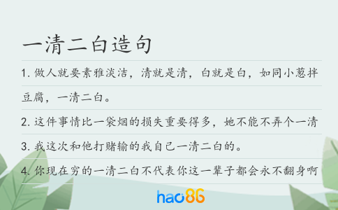 一清二白造句