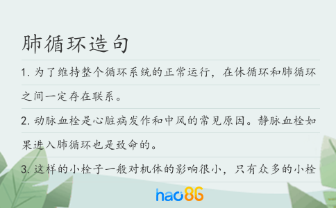 肺循环造句