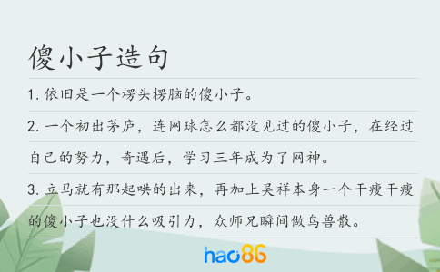傻小子造句