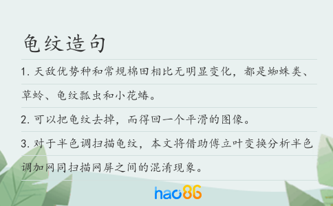 龟纹造句