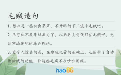 毛贼造句