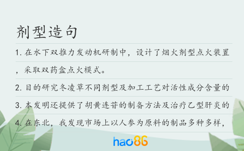 剂型造句