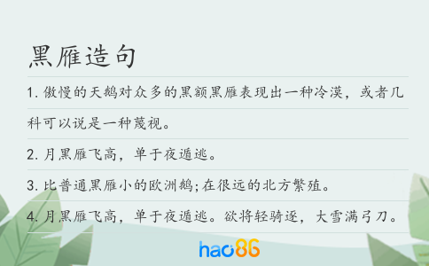 黑雁造句