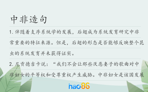 中非造句