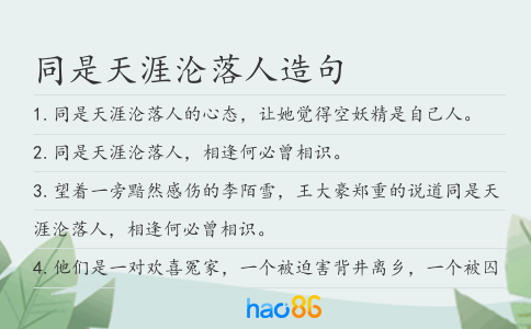 同是天涯沦落人造句