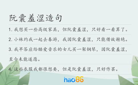 阮囊羞涩造句