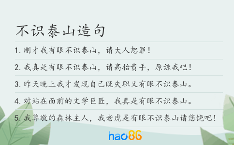 不识泰山造句