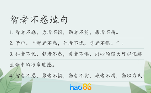 智者不惑造句